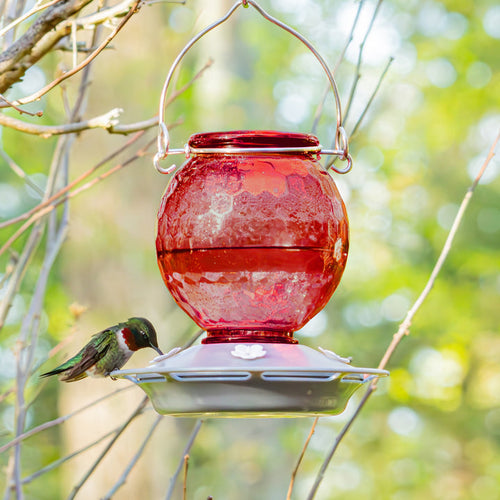 Nature's Way EcoCycle™ Crimson Comb Recycled Glass Hummingbird Feeder
