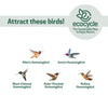 Nature's Way EcoCycle™ Crimson Comb Recycled Glass Hummingbird Feeder
