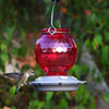 Nature's Way EcoCycle™ Crimson Comb Recycled Glass Hummingbird Feeder