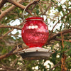 Nature's Way EcoCycle™ Crimson Comb Recycled Glass Hummingbird Feeder