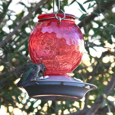 Nature's Way EcoCycle™ Crimson Comb Recycled Glass Hummingbird Feeder