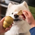 KONG  Snacks Birthday Cake Recipe Dog Treats