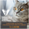 Tiki Cat® Solutions™ Light Topper: Chicken & Turkey Recipe in Broth