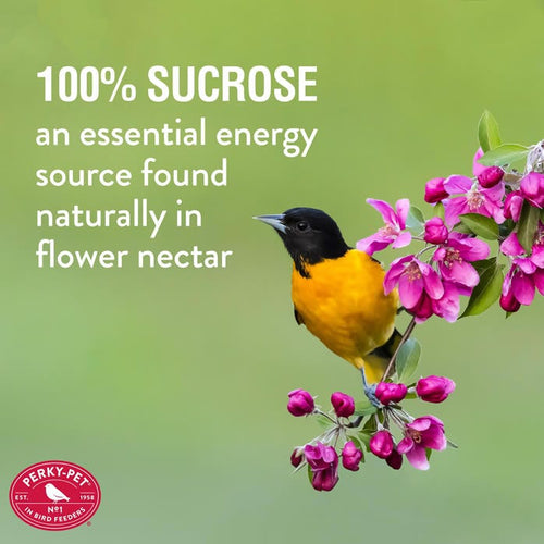 Perky-Pet® Instant Oriole Nectar 8 oz Bag