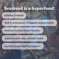 Angels’ Eyes Sea Sticks Multi-Benefit | Nutritional Seaweed Dog Treat