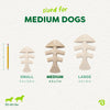 Benebone Green Fishbone Plant-Based Dog Toy for Moderate Chewers