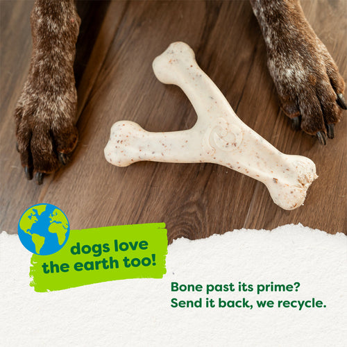Benebone Green Wishbone Plant-Based Dog Toy for Moderate Chewers