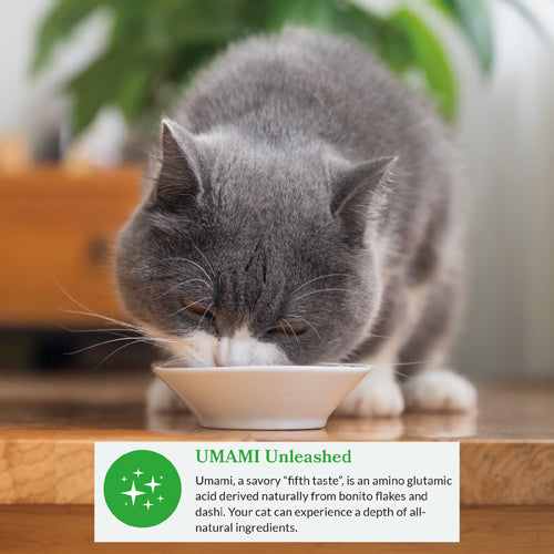 Inaba Dashi Delights Chicken with Scallop Recipe Cat Treats