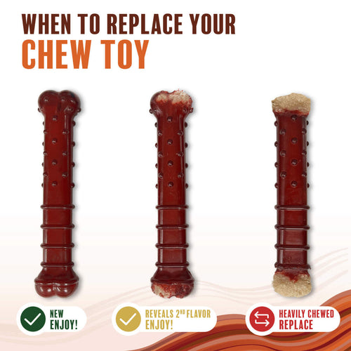 Nylabone Power Chew Basted Blast Dual Flavored Dog Chew Toys