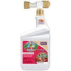 Dead Bug Brew Organic Insecticide, Hose-End Spray, Qt.