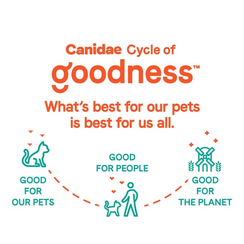 Canidae® Goodness for Skin & Coat Formula with Real Salmon Dry Cat Food