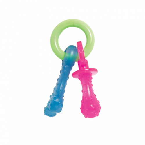 Nylabone Puppy Chew Teething Pacifier Dog Toy