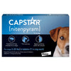 Capstar Flea Treatment for Dogs