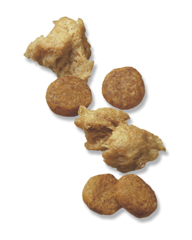 Purina Pro Plan Savor Shredded Chicken & Rice Formula Puppy Dry Dog Food
