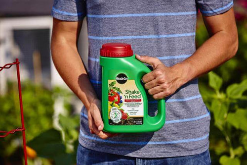 Miracle-Gro® Shake 'n Feed® Tomato, Fruit & Vegetable Plant Food