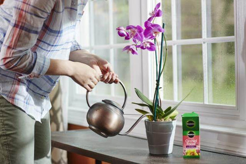 Miracle-Gro® Water Soluble Orchid Food