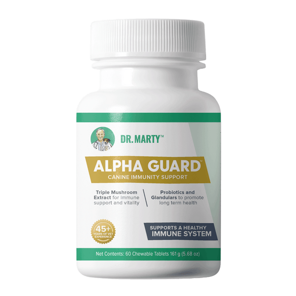 Dr. Marty Alpha Guard Immunity Support Chewable Tablet (30 Count)