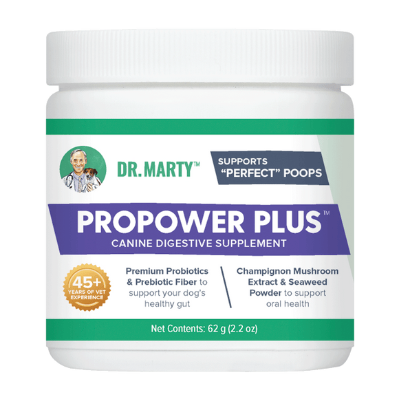Dr. Marty ProPower Plus Gut Health Supplement Powdered Formula (2.2oz)