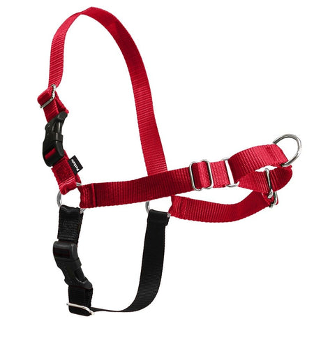 Petsafe no pull outlet dog harness