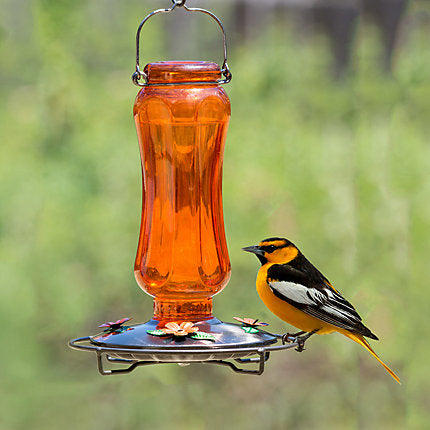 Perky-Pet® Carnival Glass Vintage Oriole Feeder - 16 oz Nectar Capacity