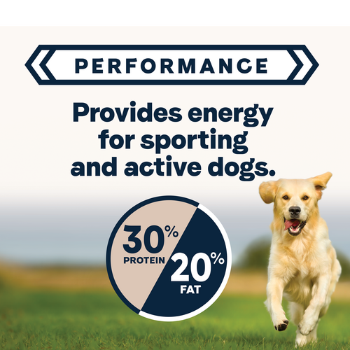 Canidae Active Goodness Multi Protein Dry Dog Food