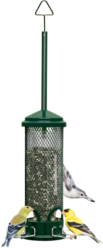 Brome Bird Care Squirrel Buster Mini™