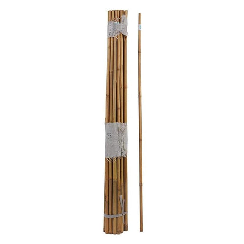 SUPER BAMBOO POLE